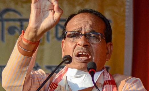 印度要发展“牛粪经济”，偷偷瞄了眼中国！