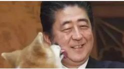 太阳当空照，狗儿对我叫！