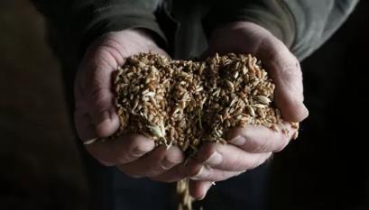 粮食危机的宿命，为什么摆脱不了？