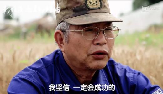 日本“堆粪仙人”？