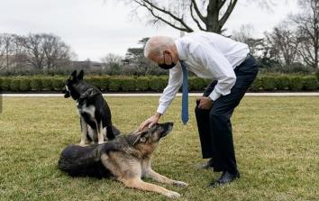 今天，乌克兰给全球“美狗”打了个样！