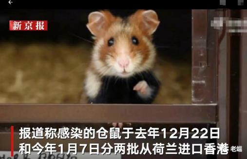 ​如何看待“优等生”上海的这波疫情？