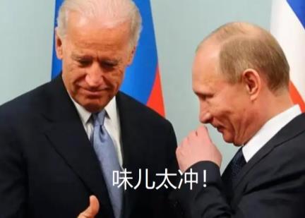 国家太大，当不了狗！