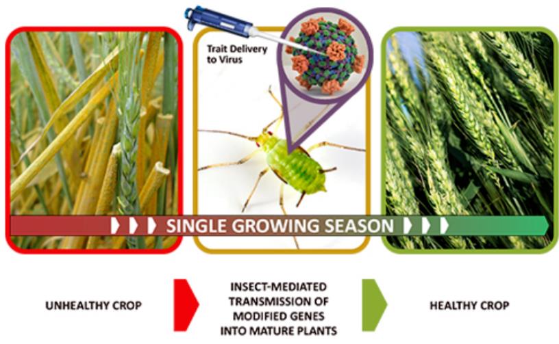 警惕！美国安排巨额“生物安全”经费，它想干什么？