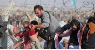 最后一个乌克兰人的战争！