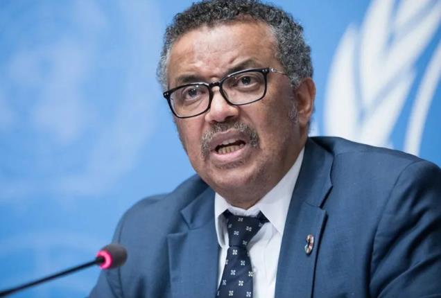 谭德赛的烟幕弹！