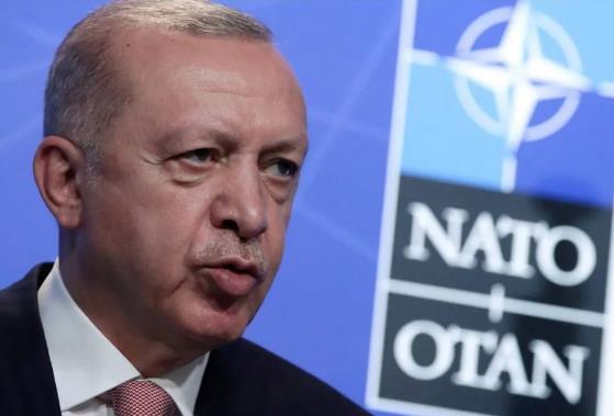 埃尔多安纵横北约！