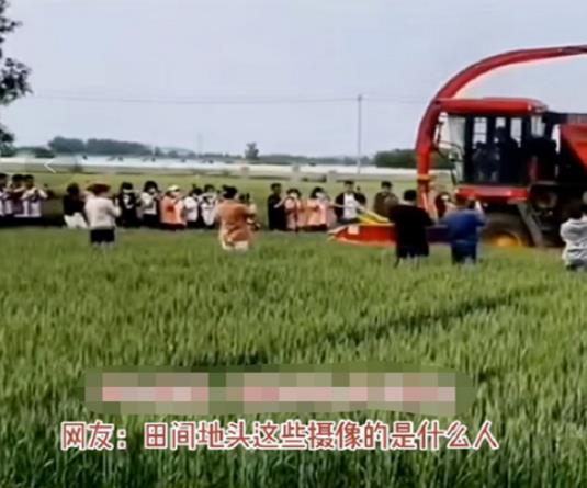 俄乌战争，是怎么影响到万里之外河南小麦的？