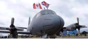 ‘看门犬’行动！