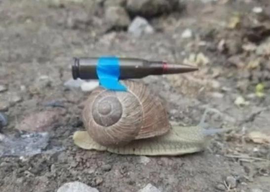 ​为什么美国“逢中必挫”？