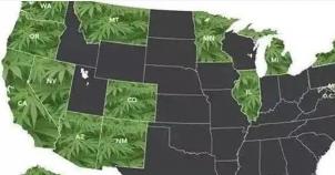 纽约游击队---推动美国的元素！