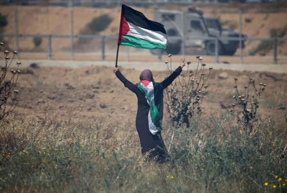 敦促以色列停止对巴勒斯坦的侵略！