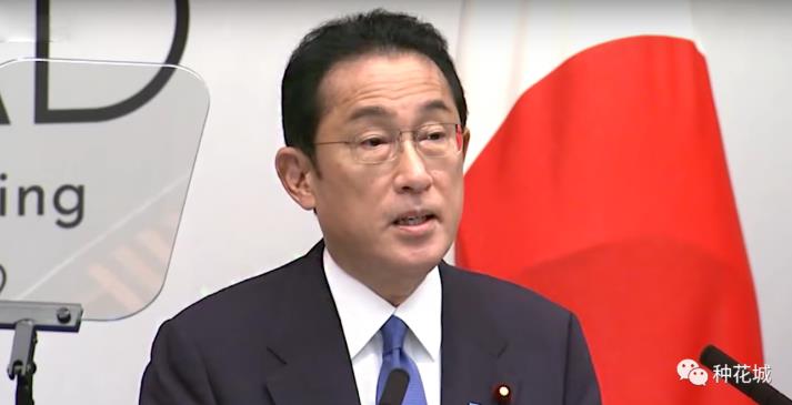 安倍遇刺，岸田收获2重大利，成最大赢家！