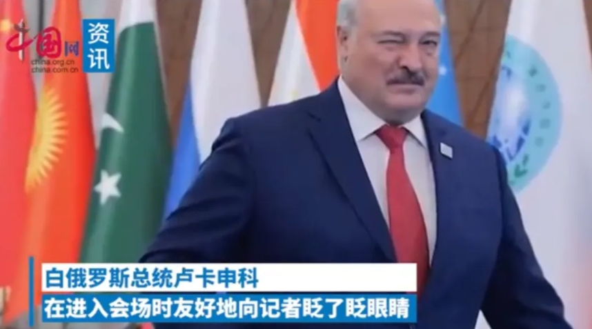 白俄加入“上合”，卢卡申科笑了！