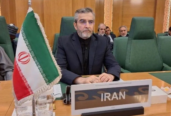 鱼可以不死，网一定要破！