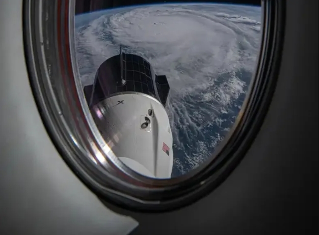 哈里斯的支持率为何暴跌？