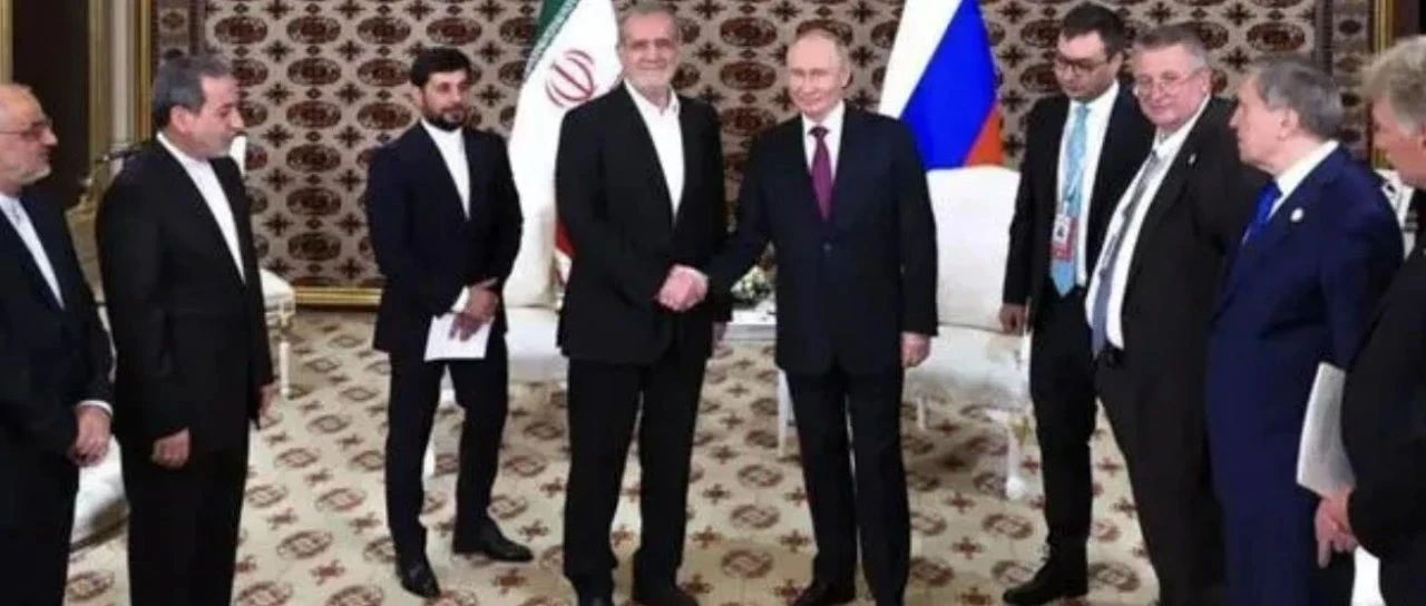 俄罗斯的盟友们！