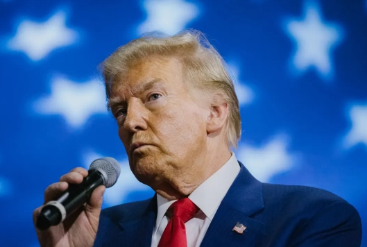 美国总统大选进入最后冲刺阶段，谁会胜出？