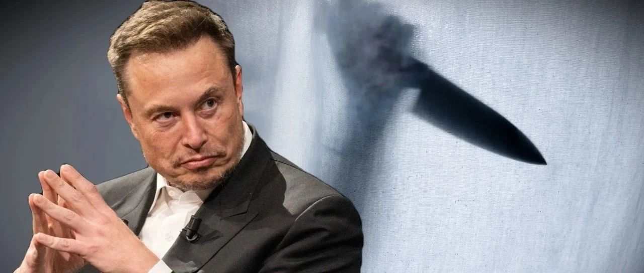 谁要杀马斯克？