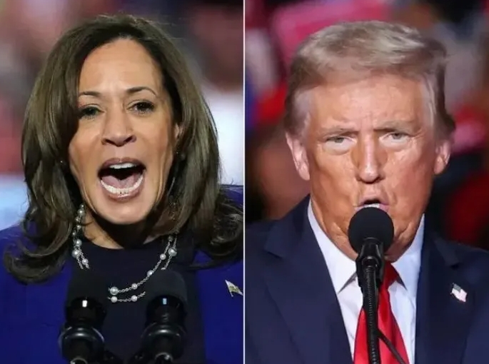 美国大选的另一面（信息量很大）！