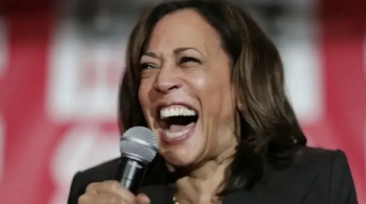 哈里斯是怎么输掉的？