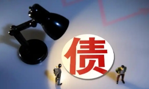 内债不是债？