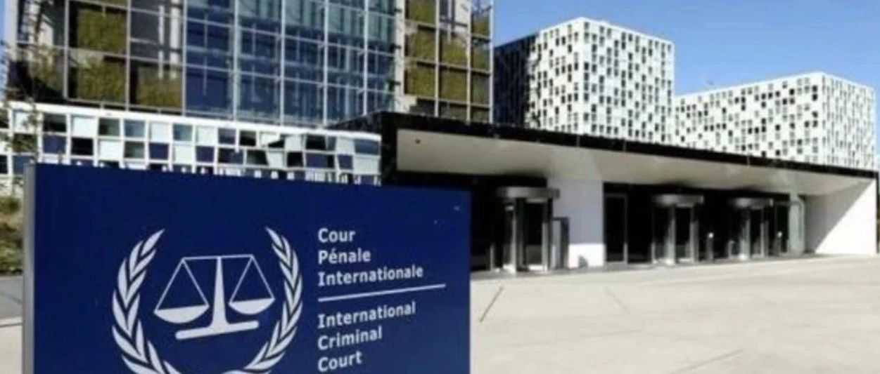 法国人的自断其臂！