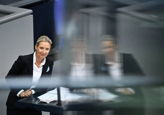 那个人回来了，魏德尔民调登顶，能否当选德国总理？