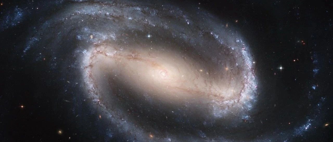 2025年展望分析：旋涡之年！