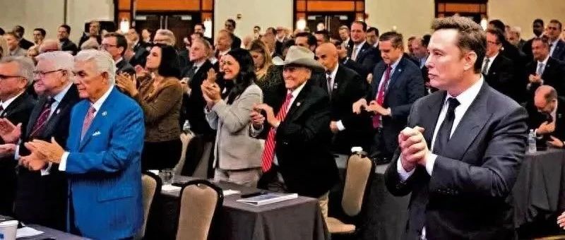 马斯克为什么得罪欧盟也要力挺德国选择党！