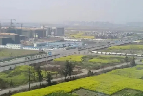 上海的未来在哪里？