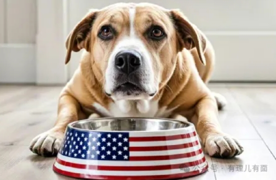 买断中情局，裁撤教育部，是自废武功还是另有所图？