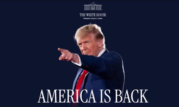 日耳曼赢学：勿以赢小而不麻！