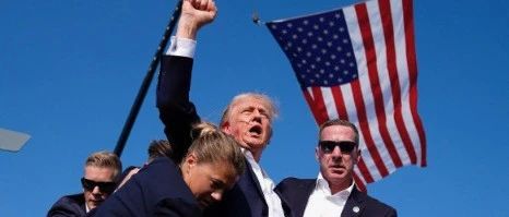 别害我懂王了！