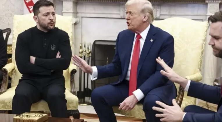 狗和狗主人咬了起来！