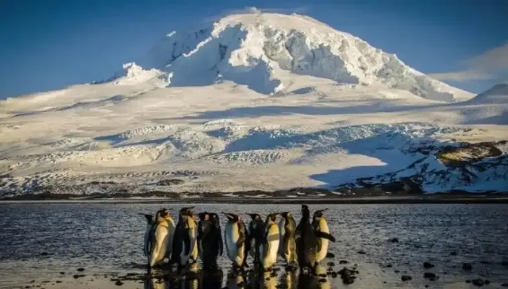 特朗普的关税公式！