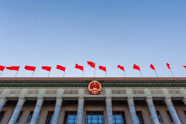 白皮书的意思只有一个！