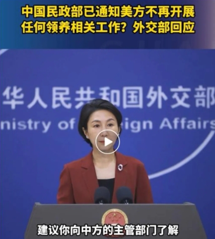 大揭秘，跨国领养被紧急叫停背后的真相！