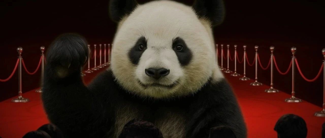 中国被迫出名！