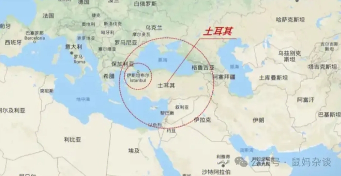 土耳其：欲跪无门，泰迪变身哈士奇！