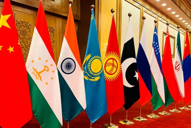 埃尔多安的贺礼！