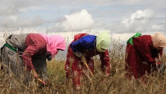 退休金应该一视同仁！