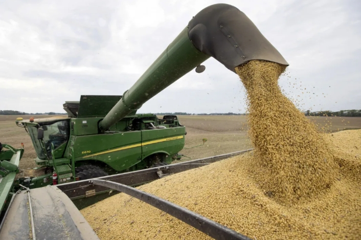 从稀土到大豆，中国又一张“王牌”浮出水面！