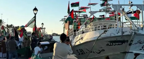 用白左的钱补贴以色列！