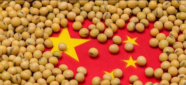 沉默的反击：点豆成兵？