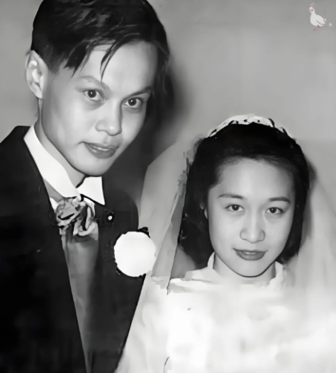 杨振宁先生的一段伤心往事，也是中国近现代历史的一个缩影！