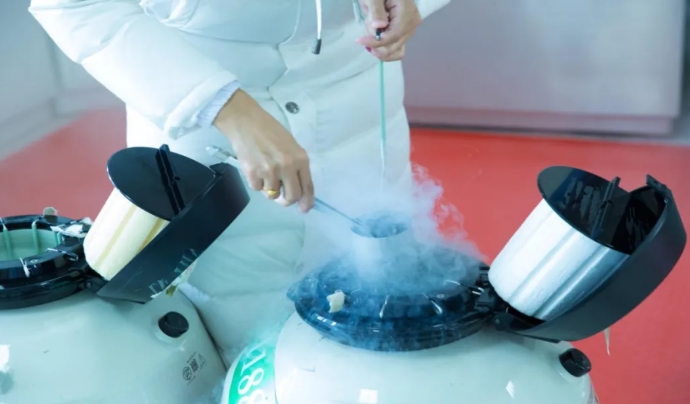 反击荷兰，中国能否摆脱“进口奶牛冻精”依赖？