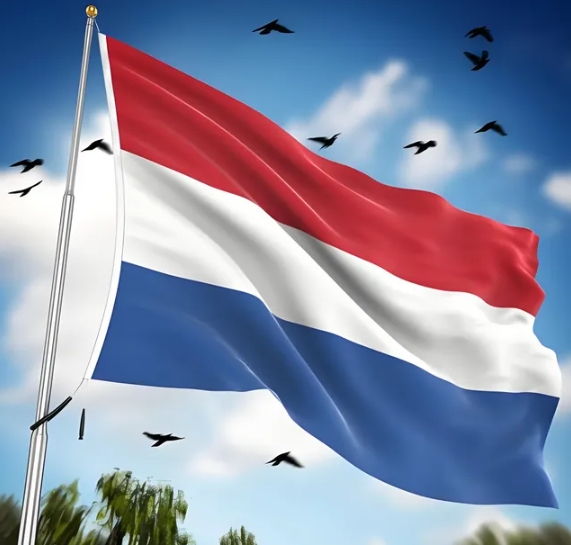 反击荷兰，必出重拳！