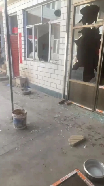 一条狗引发的血案！