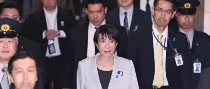 小泉家的填坑者！